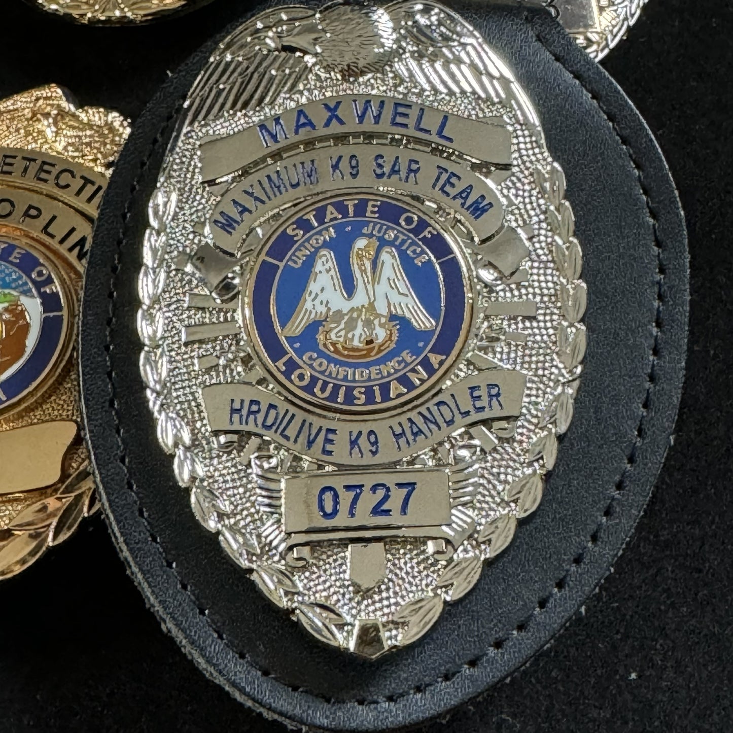 Customizable Badge BA12