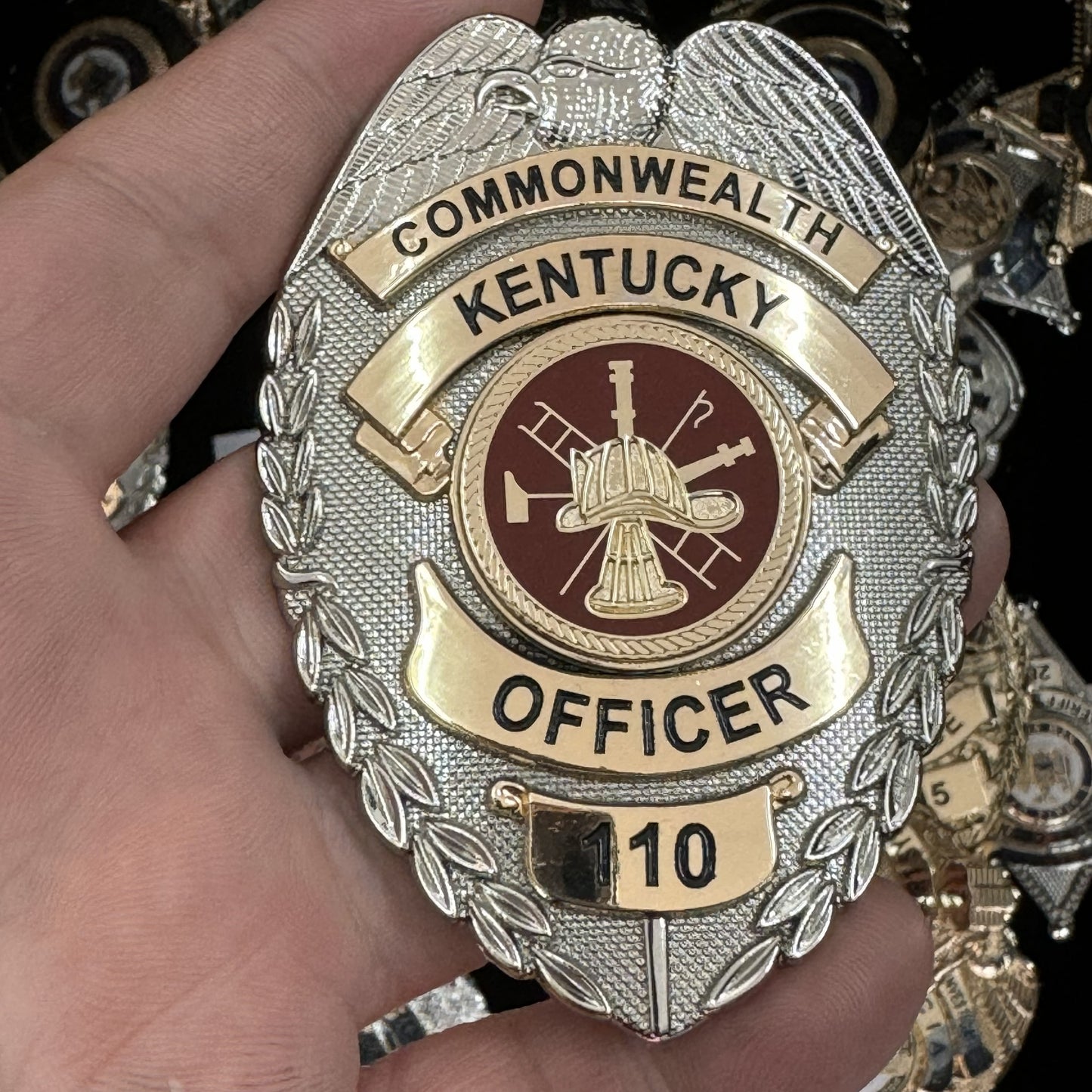 Customizable Badge BA30