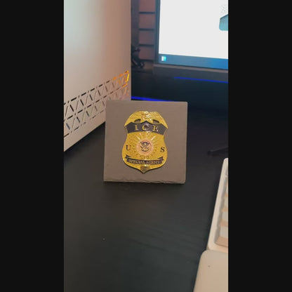Ice Special agent badge Desk Decor,Law Enforcement Award & Recognition Collectible gifts retirement memorial